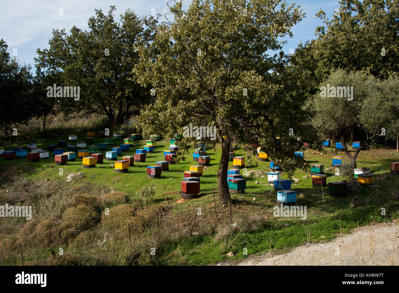 Beehives near Armeni  in the mountains of Crete. Stock Photo