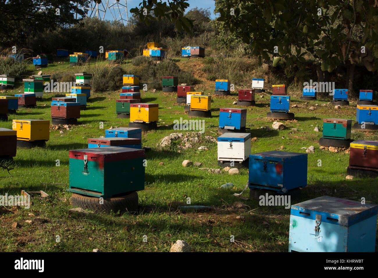 Beehives near Armeni  in the mountains of Crete. Stock Photo