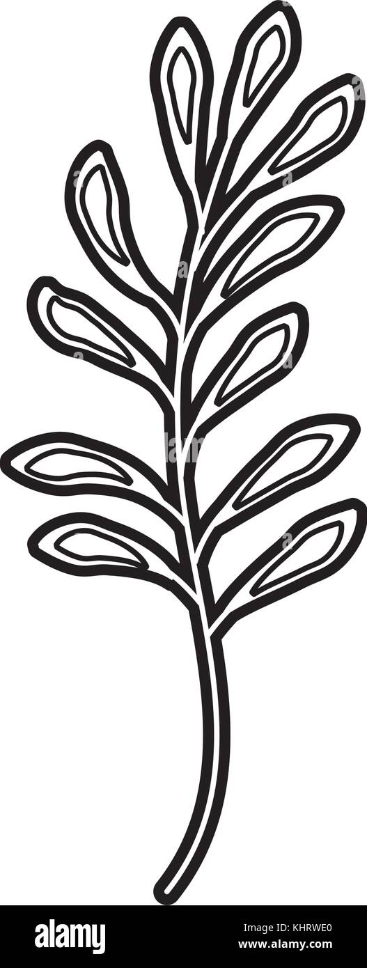 branch plant with leaves natural foliage garden Stock Vector Image ...