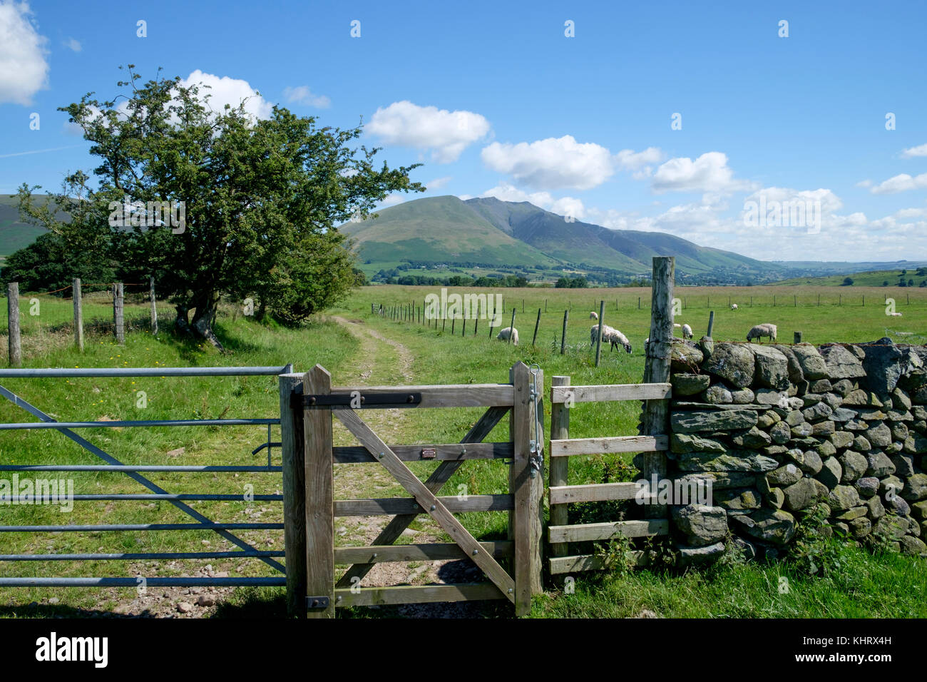 Footpath near Keswick towards Blencathra and Castlerigg Stock Photo Alamy
