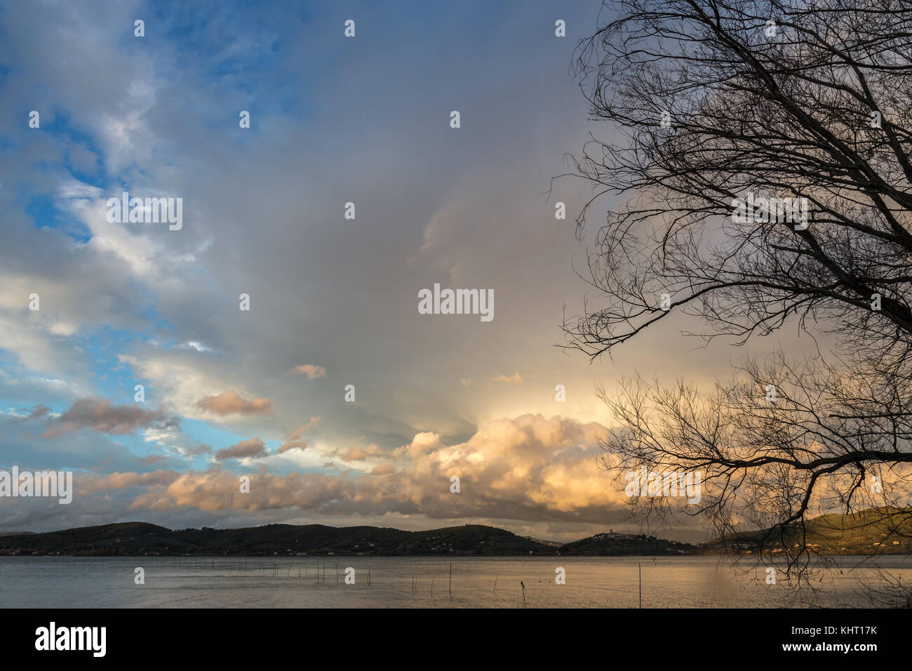 Tree branches on a lake shore at sunset, with beautiful, warm colored clouds Stock Photo