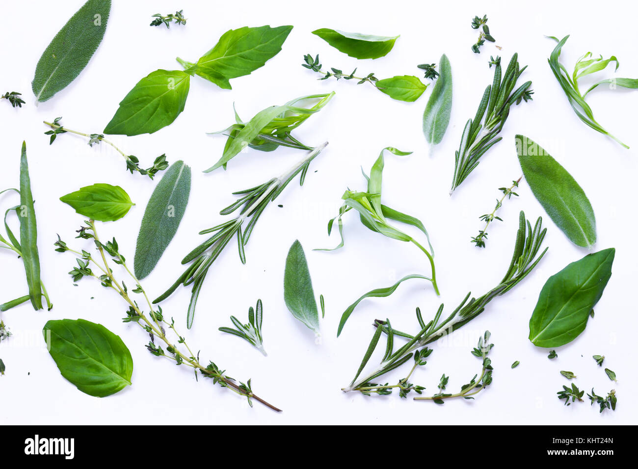 aromatic herbs basil, thyme, rosemary on white background Stock Photo