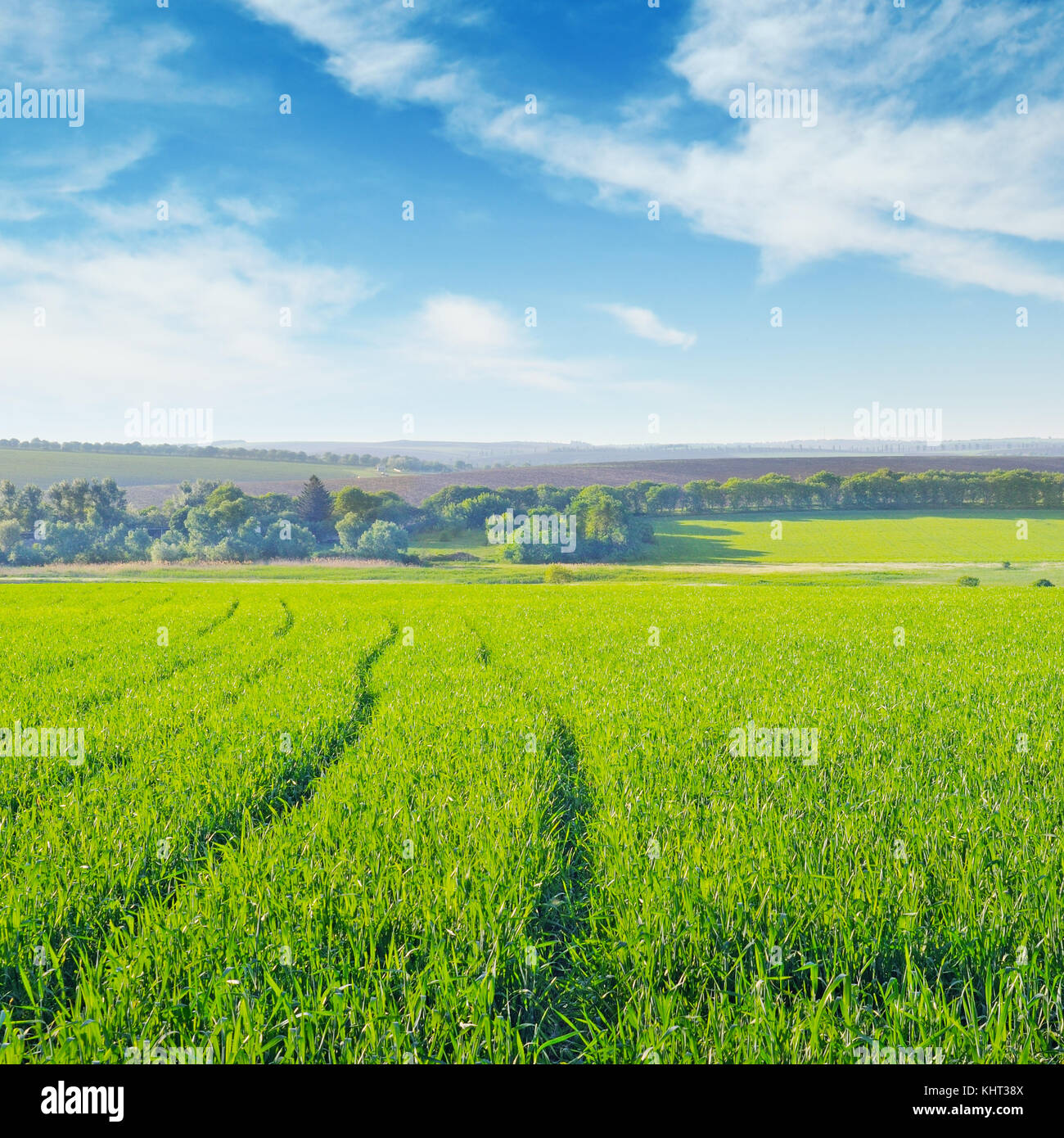green field and blue cloudy sky Stock Photo - Alamy