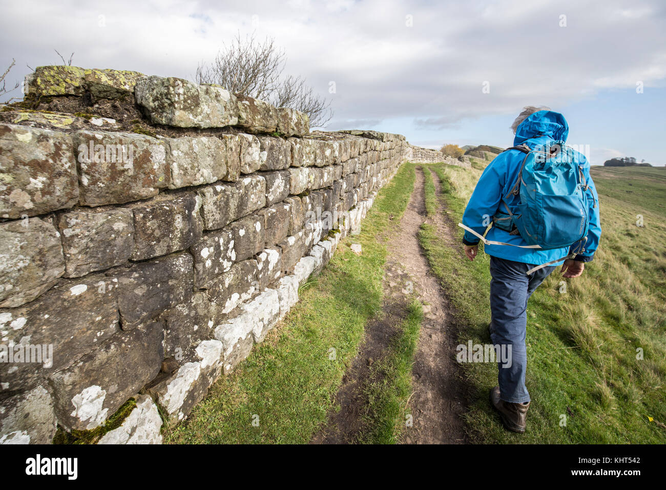 Ronald Turnball Walking The Cawfields Section Of Hadrian s Wall 