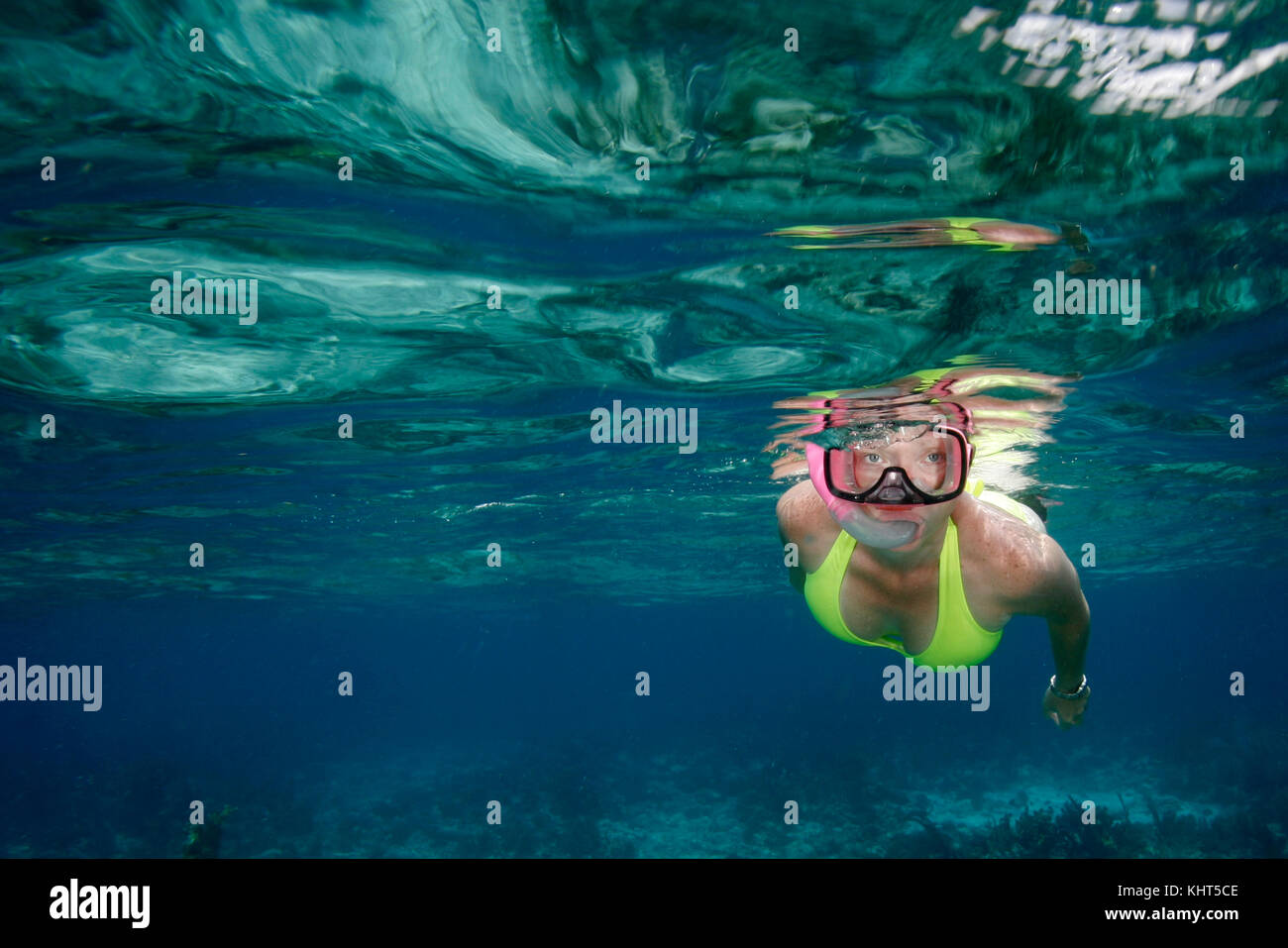 Snorkeler, Florida Keys National Marine Sanctuary Stock Photo Alamy