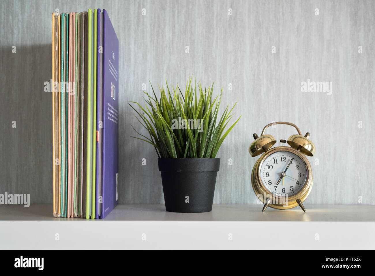 encyclopedia books, plant and alarm clock on white shelf - organized concept Stock Photo