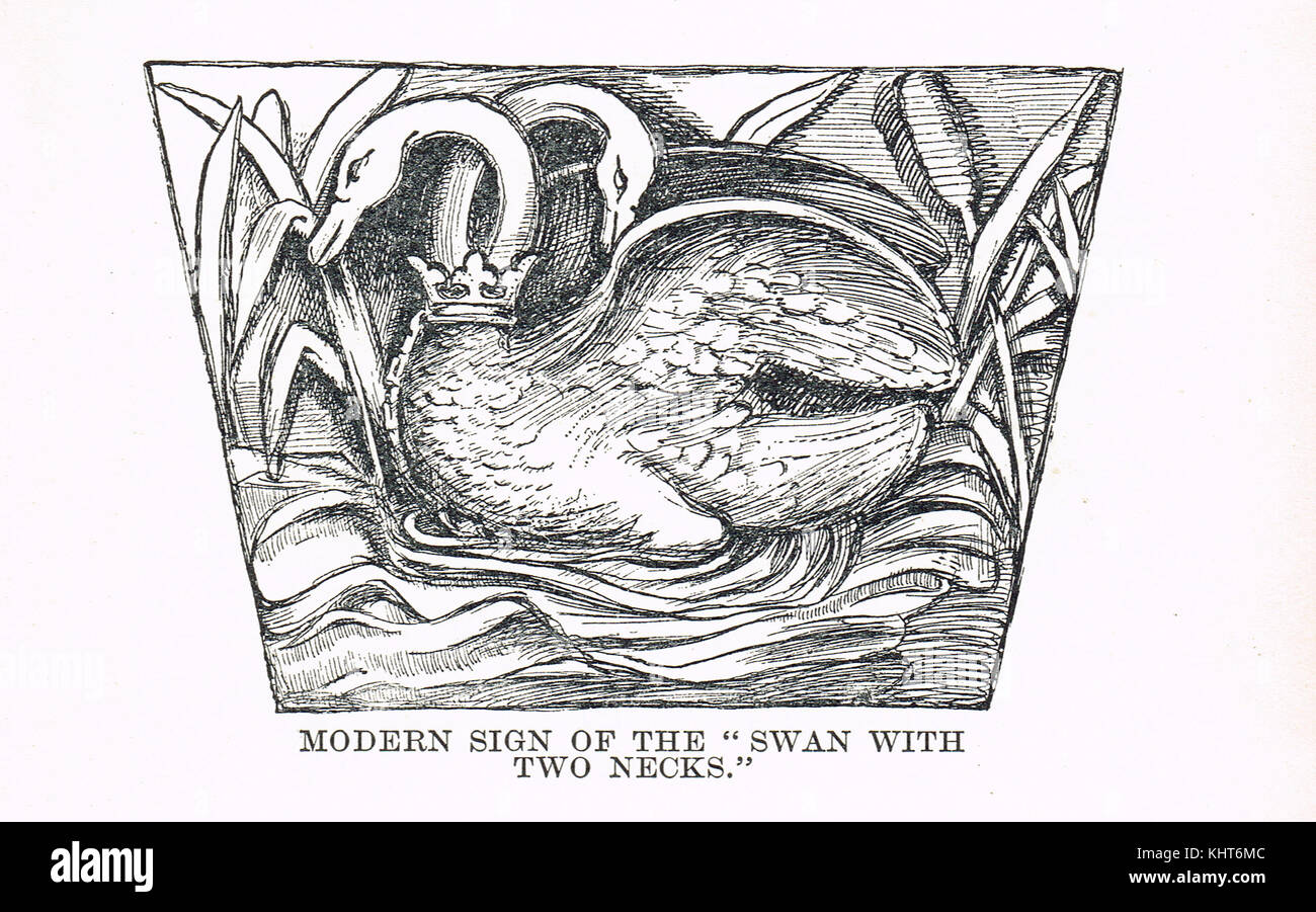 The swan with two necks pub sign hires stock photography and images