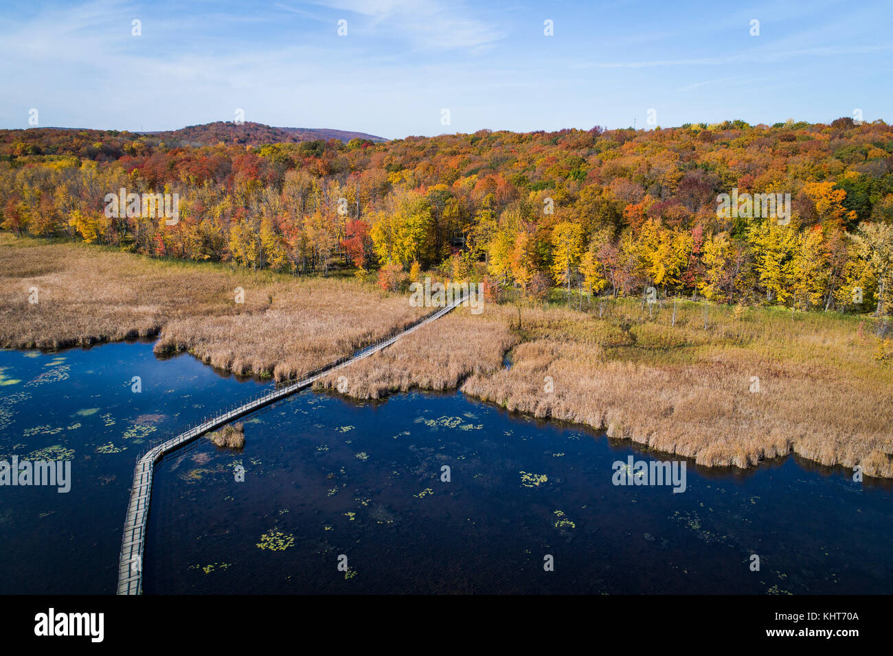 Aerial view over forest and mash during autumn vibrant colors Stock Photo