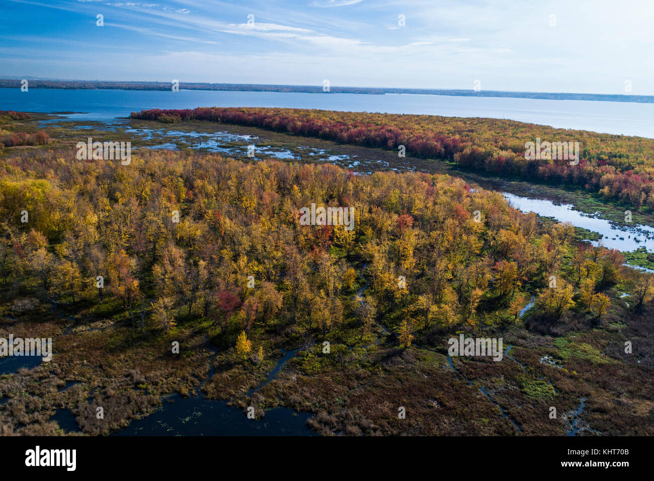 Aerial view over forest and mash during autumn vibrant colors Stock Photo
