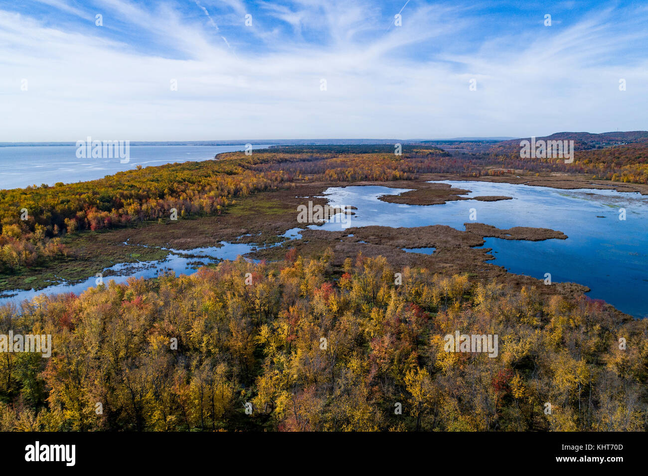 Aerial view over forest  and mash during autumn vibrant colors Stock Photo