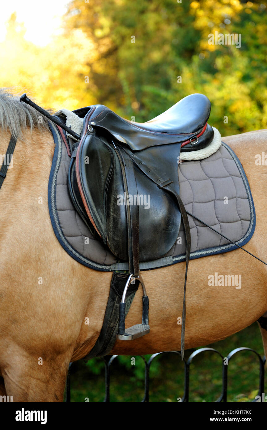 Horse stirrup isolated on white hires stock photography and images Alamy