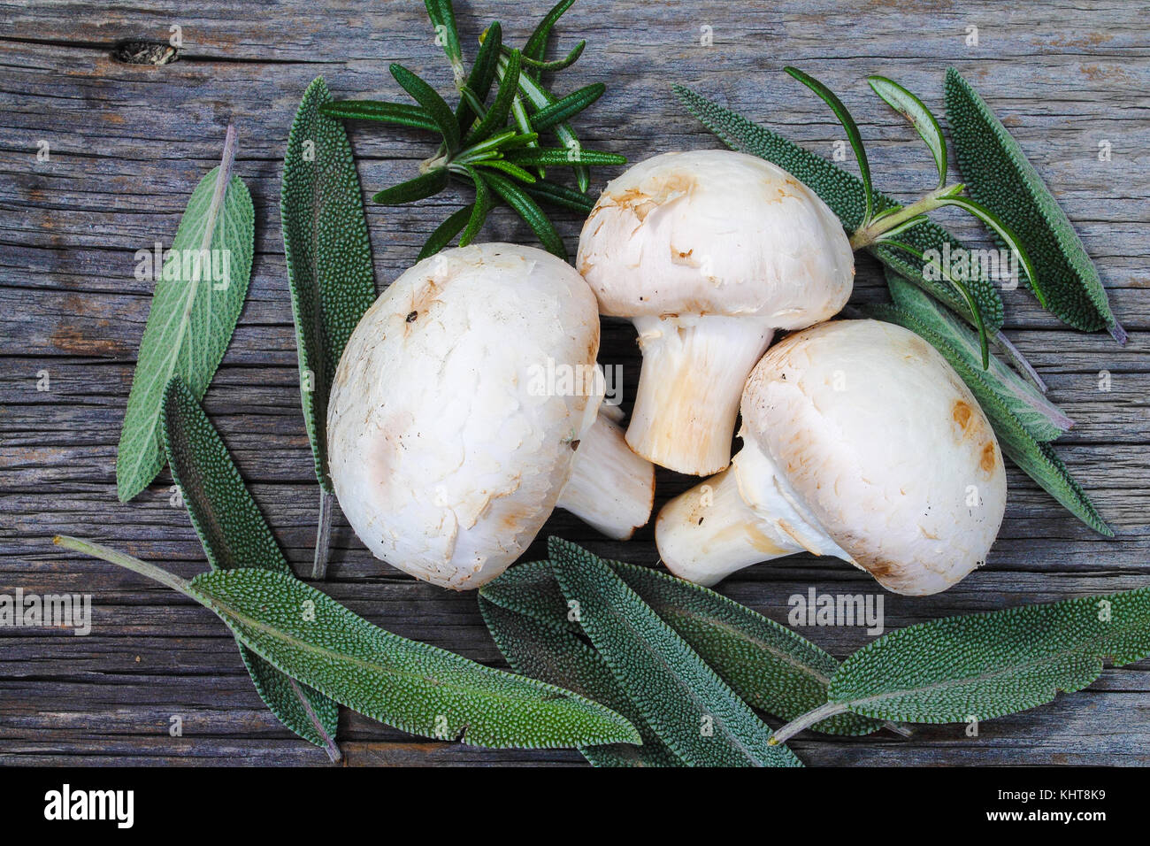 Mushrooms, herbs and spices Stock Photo Alamy