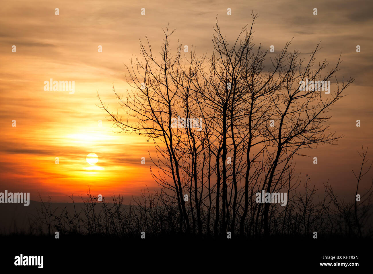 Beautiful sunset landscape with trees Stock Photo - Alamy