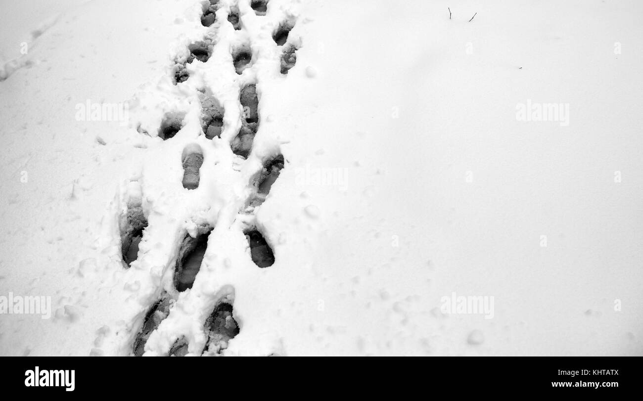 Footprints in the snow. Footprints on the first snow. Imprint an Stock