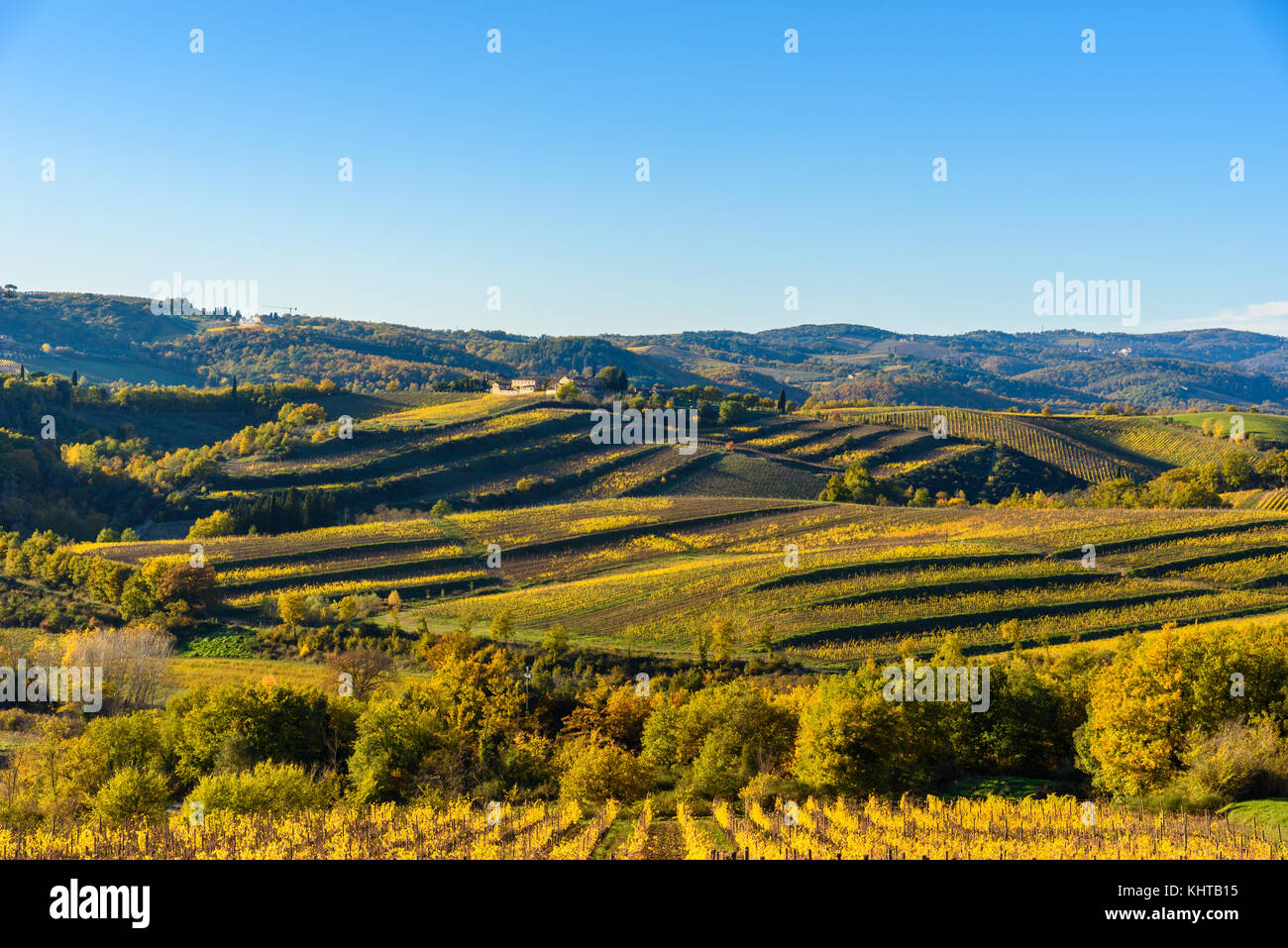 Lucolena