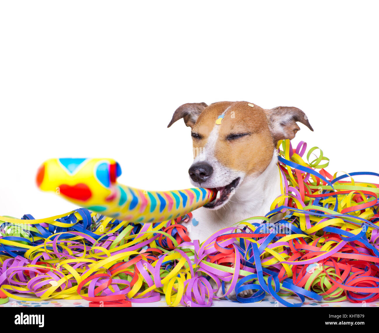 happy jack russell dog having a party with serpentine streamers, for