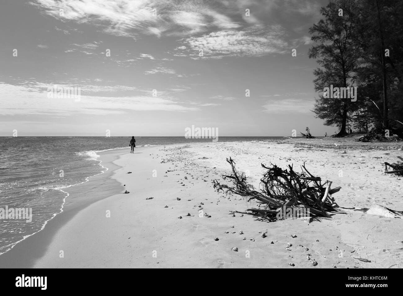Black and white beach photo Stock Photo Alamy