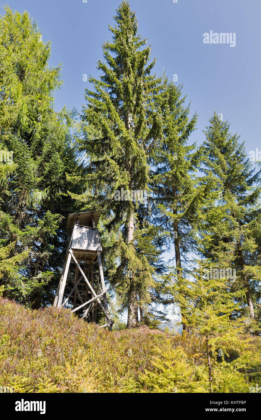 Hunting tower in Alpine mountain woods in Western Carinthia, Austria. Stock Photo
