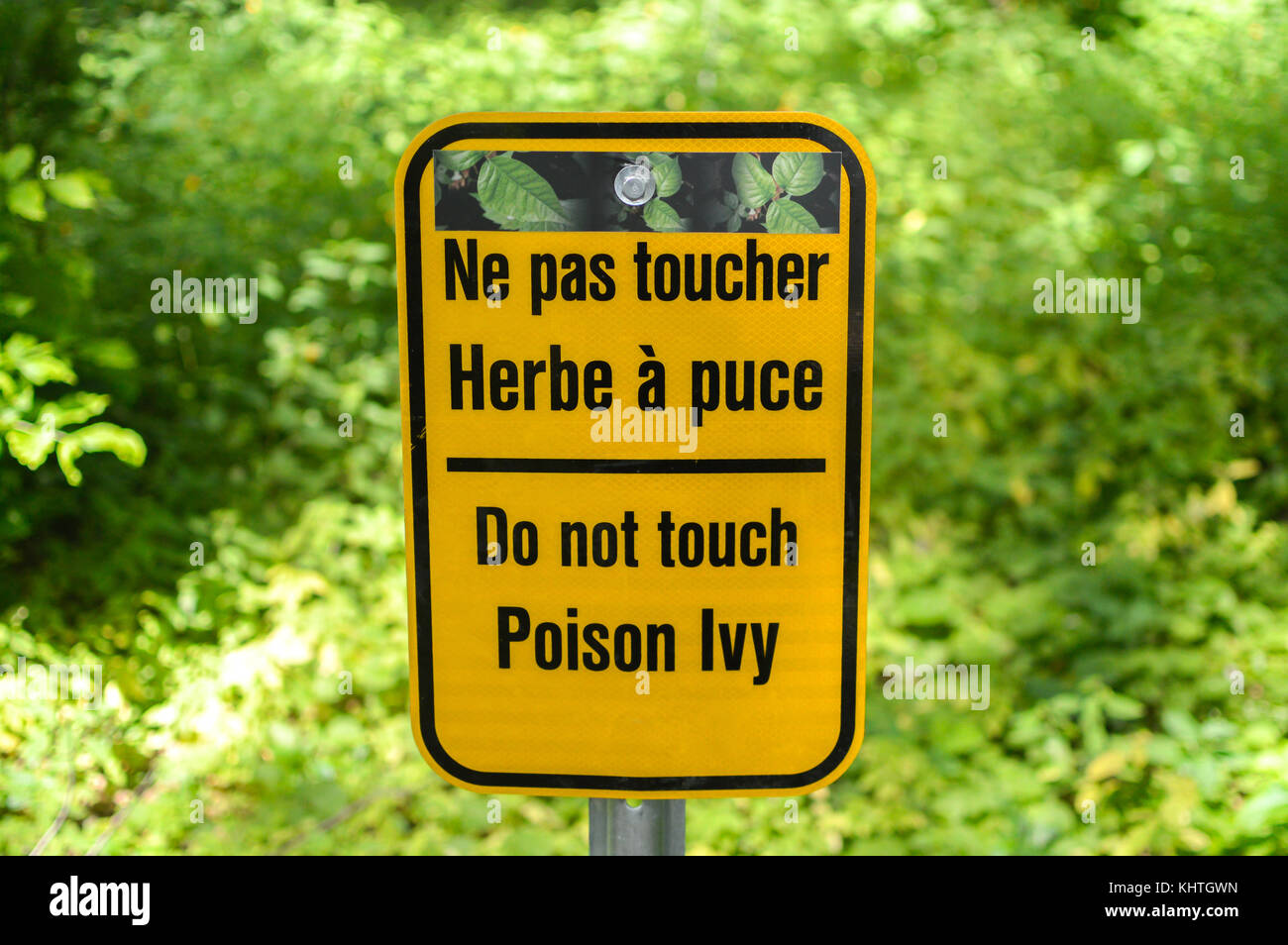 Caution poison ivy sign warning hi-res stock photography and images - Alamy