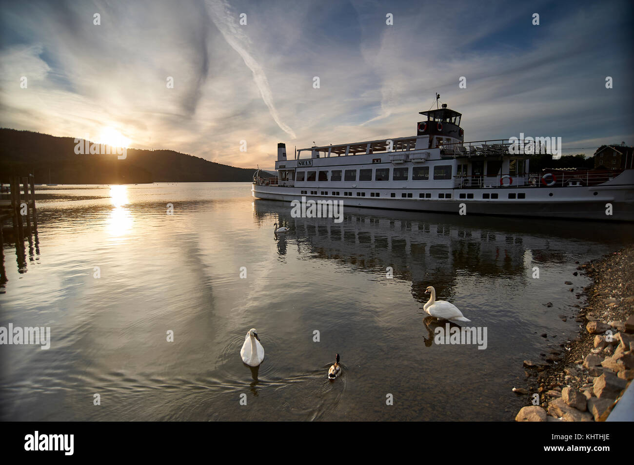Tourist cruise boat swans hi-res stock photography and images - Alamy