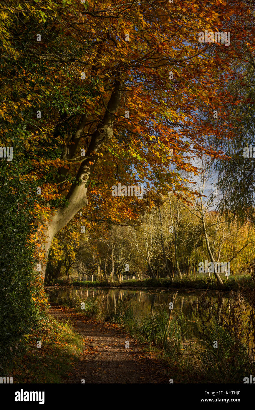 Autumn on the canal towpath Stock Photo