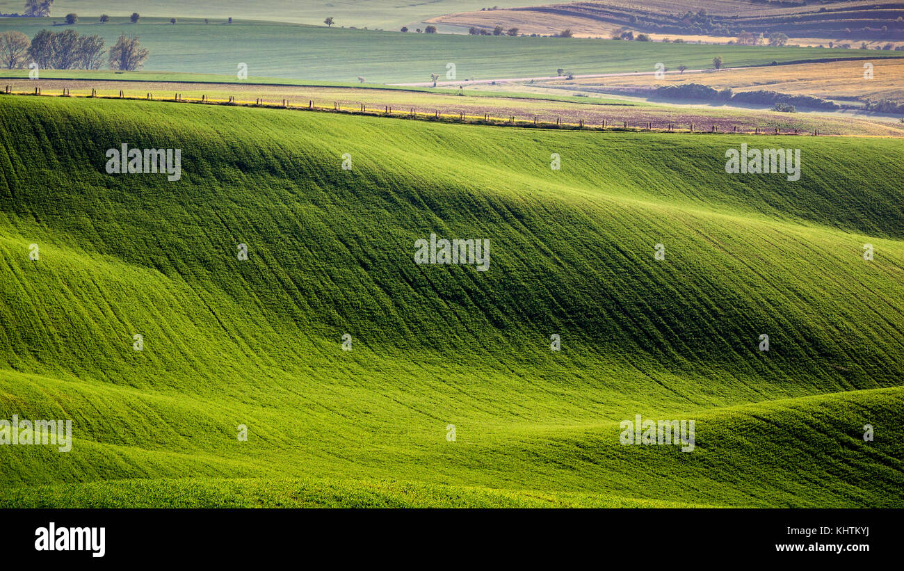 Endless Green Fields, Rolling Hills, Tractor Tracks, Spring Landscape ...