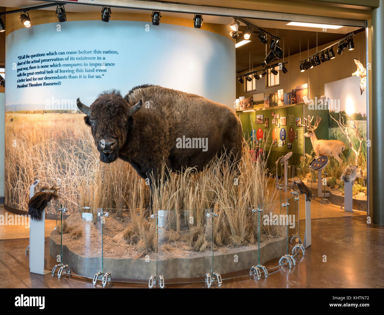 Displays inside the visitor center, Rocky Mountain Arsenal National Wildlife Refuge, Commerce City, Colorado. Stock Photo