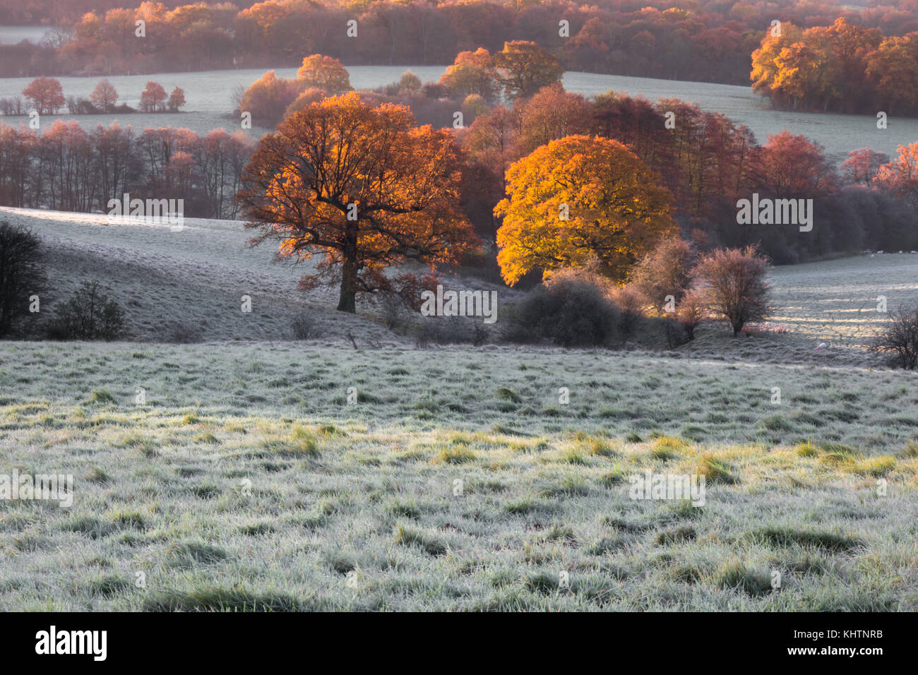 Kent sussex border hires stock photography and images Alamy