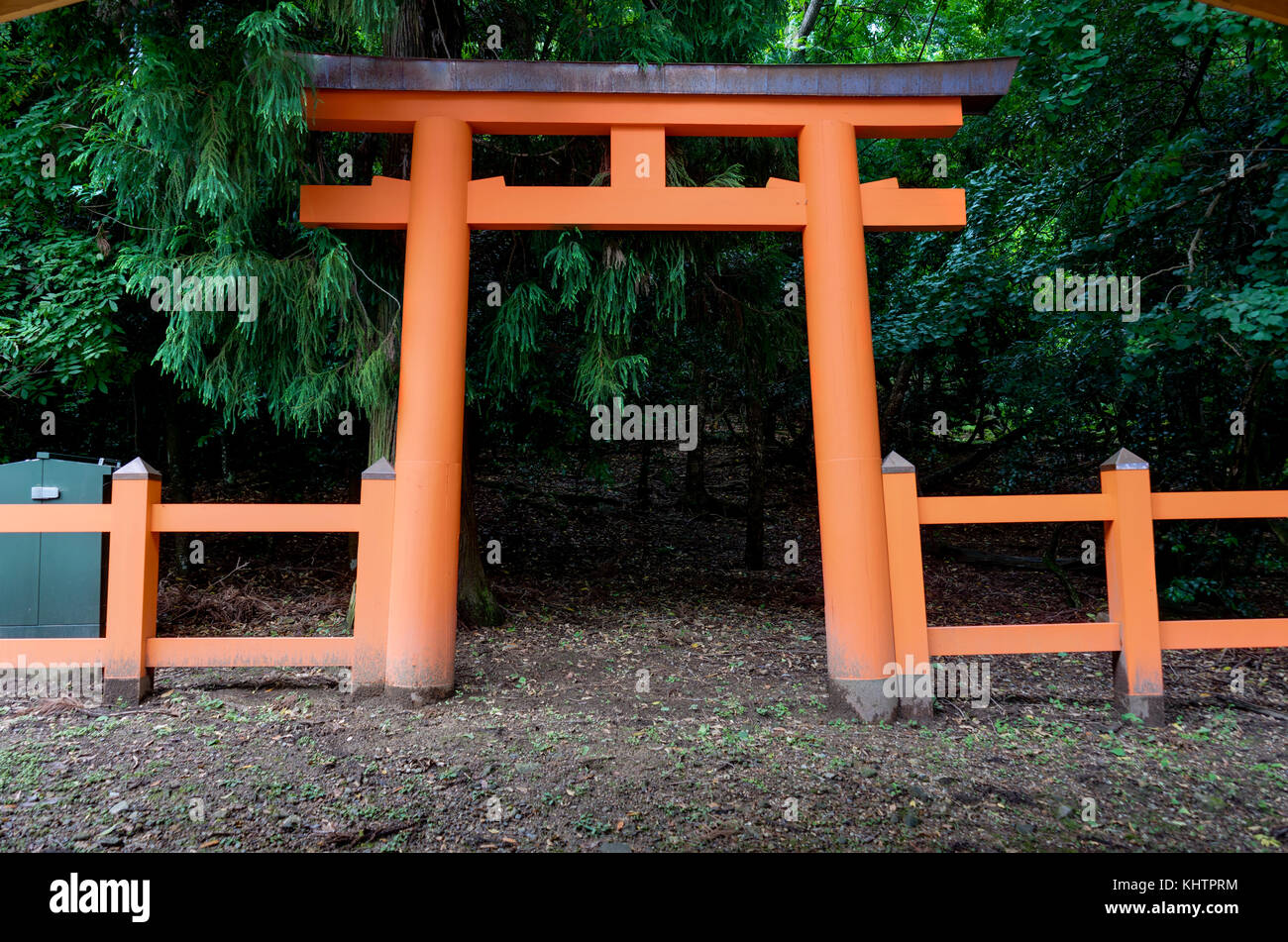 Torii Orange in Nara Japan Stock Photo