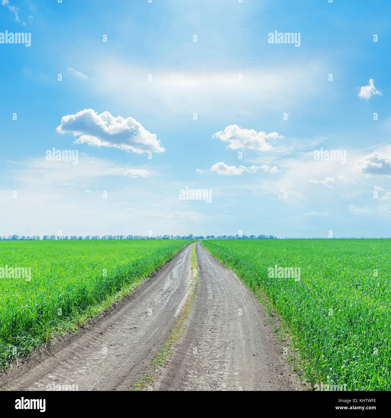 road in green grass field to horizon under blue sky with clouds Stock ...