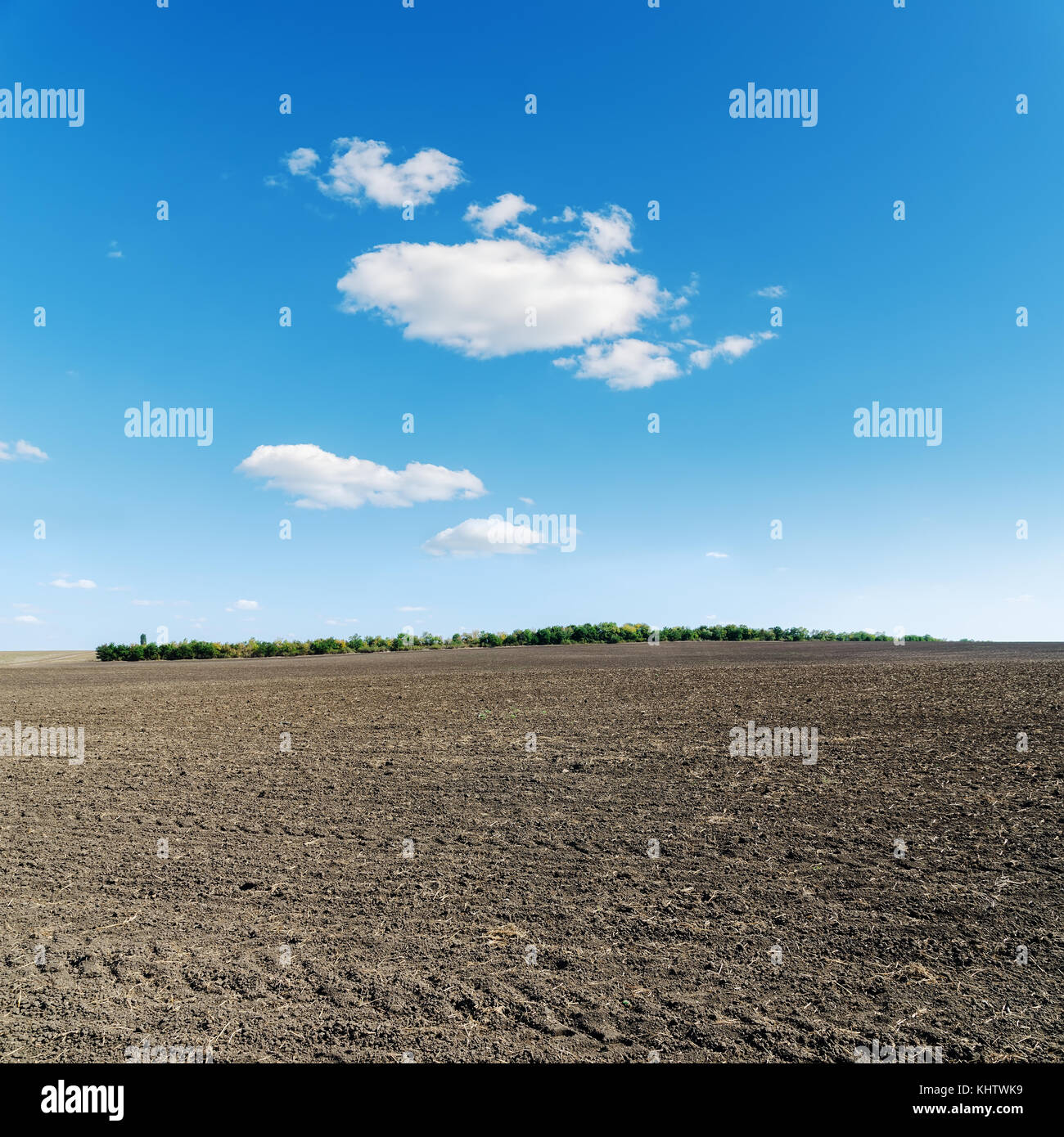 spring agriculture black field and blue sky Stock Photo - Alamy