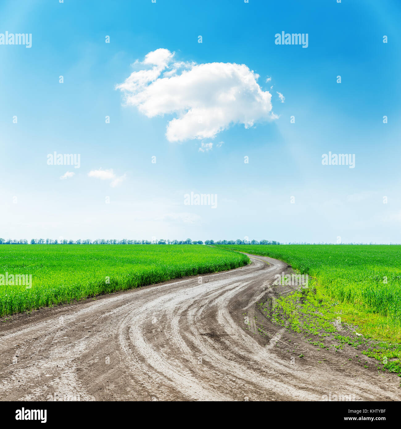 rural road in green grass fields and white cloud in blue sky over it ...