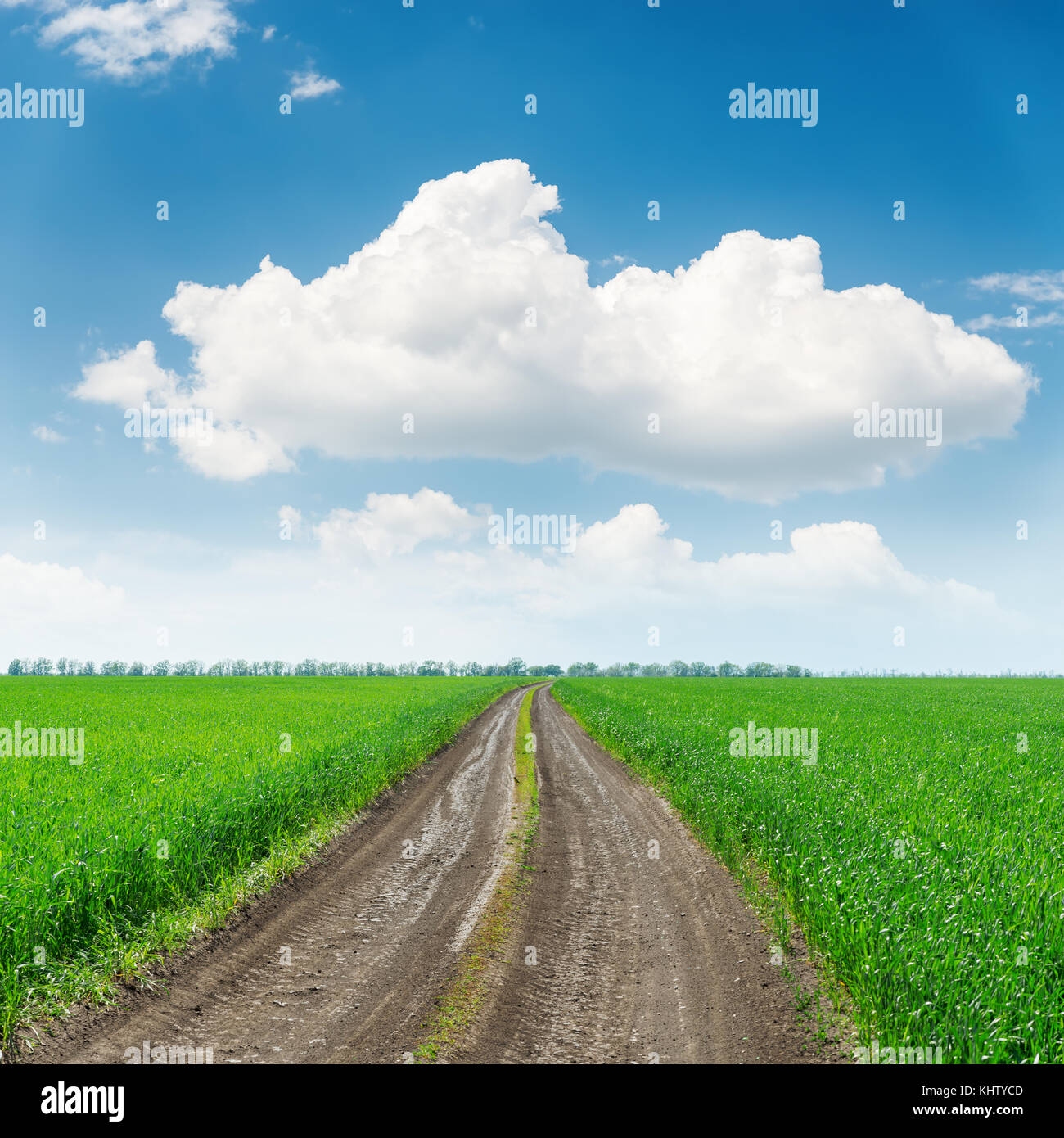 road in green grass fields and big cloud over it Stock Photo - Alamy