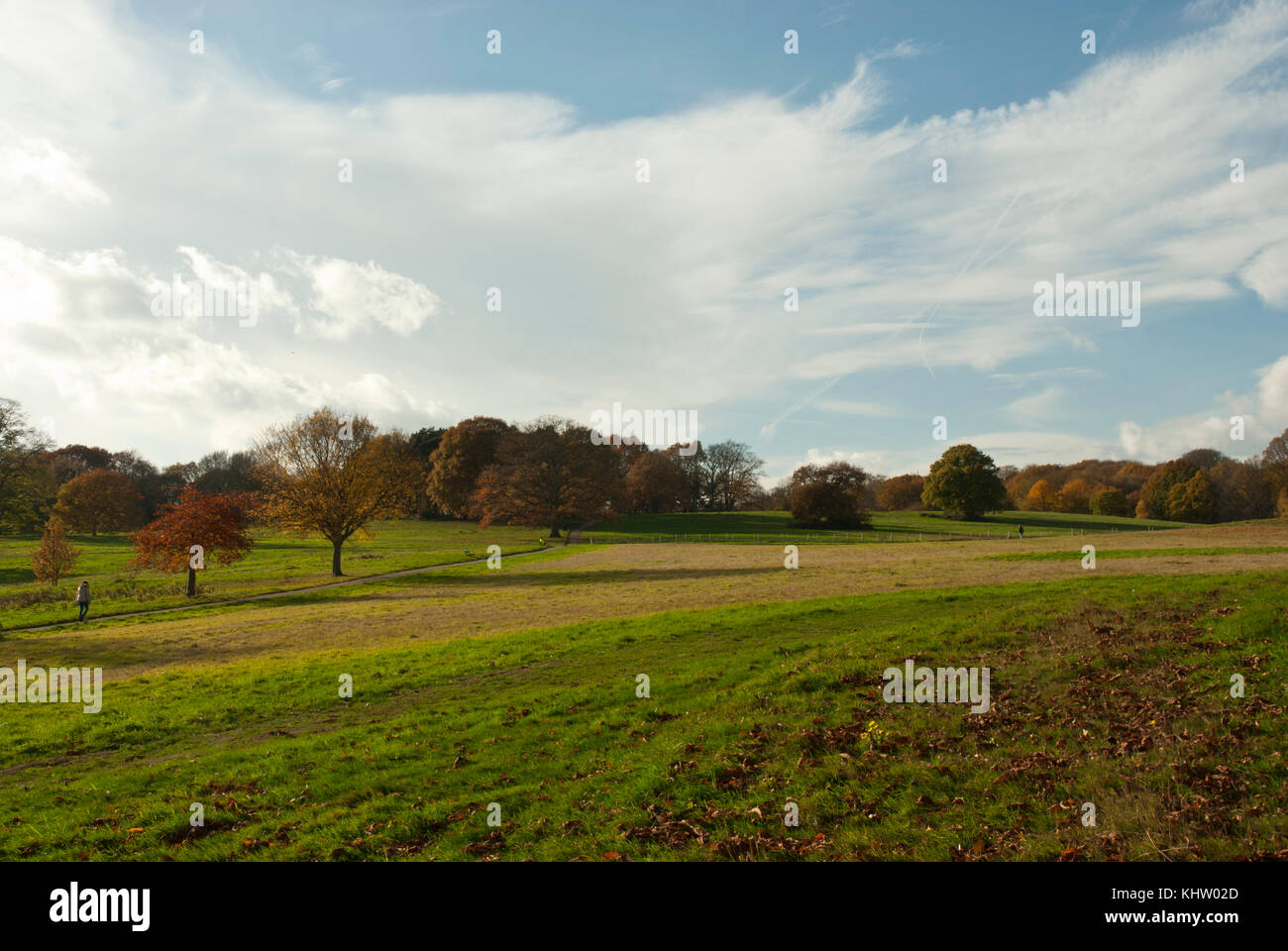 Scenic view of Parliament hill Fields and meadows,Hampstead Heath with warm autumnal colours and long shadows of a sunny afternoon. Stock Photo