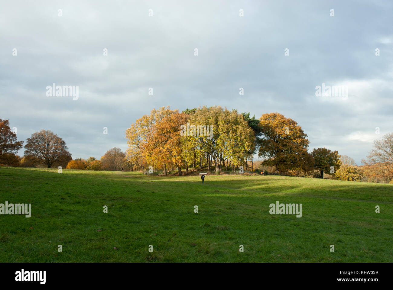 Scenic view of Parliament Hill Fields in Hampstead Heath, London, with a mound (tumulus), copse of trees in autumnal warm colours. Ideal for walking. Stock Photo