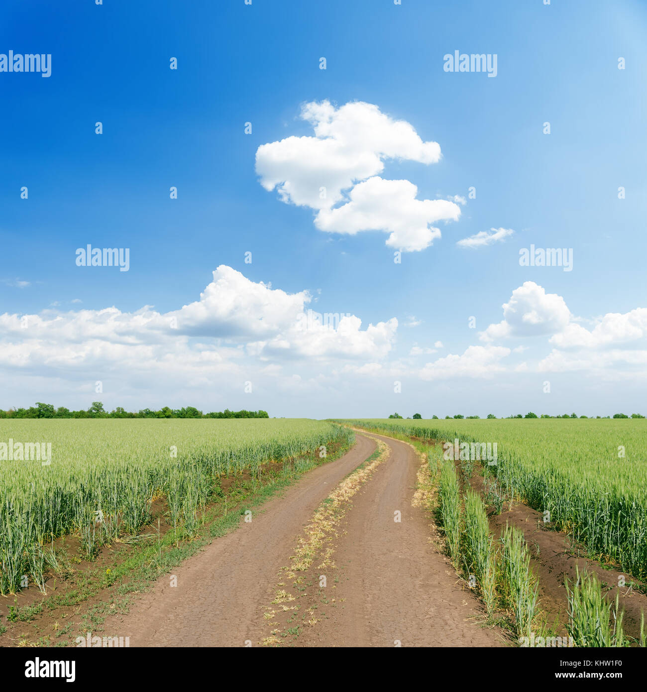 road in green field under blue sky with clouds Stock Photo - Alamy