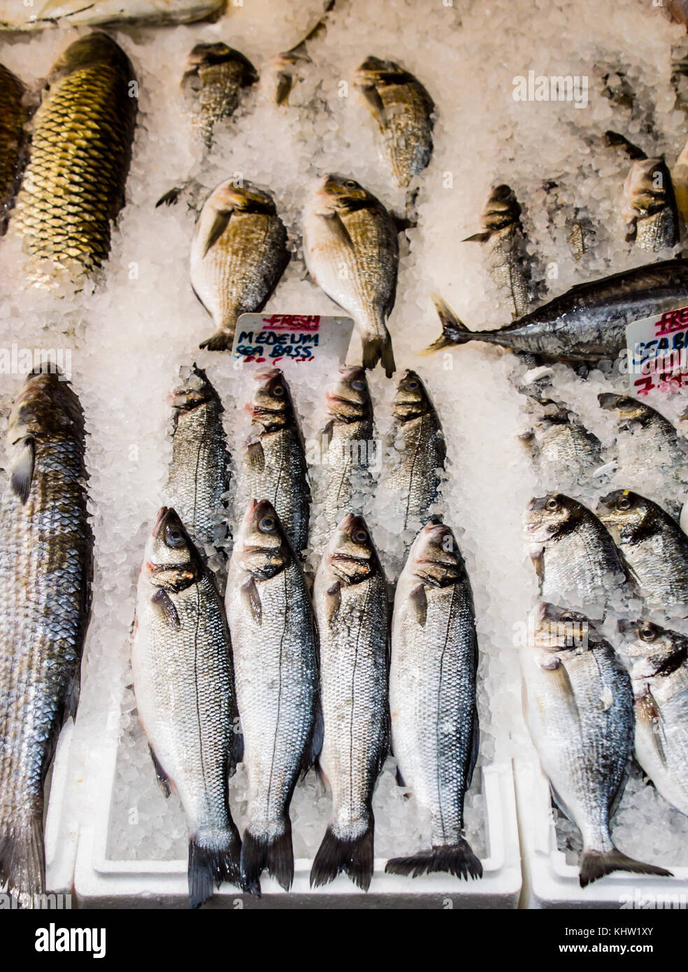 Fish in Surrey street market showing pricing Stock Photo Alamy