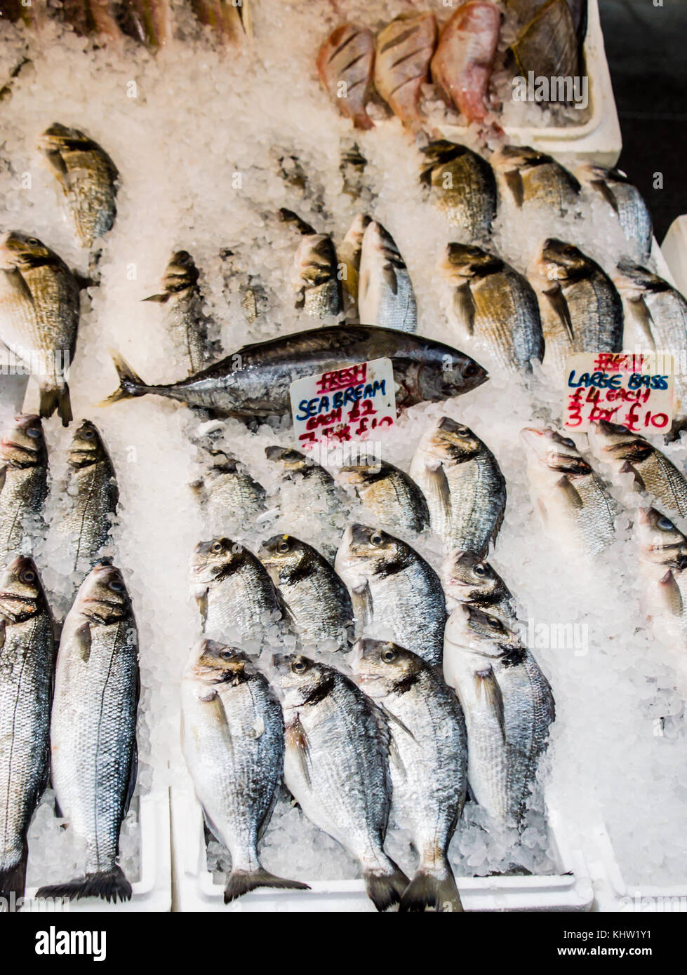 Fish in Surrey street market showing pricing Stock Photo Alamy