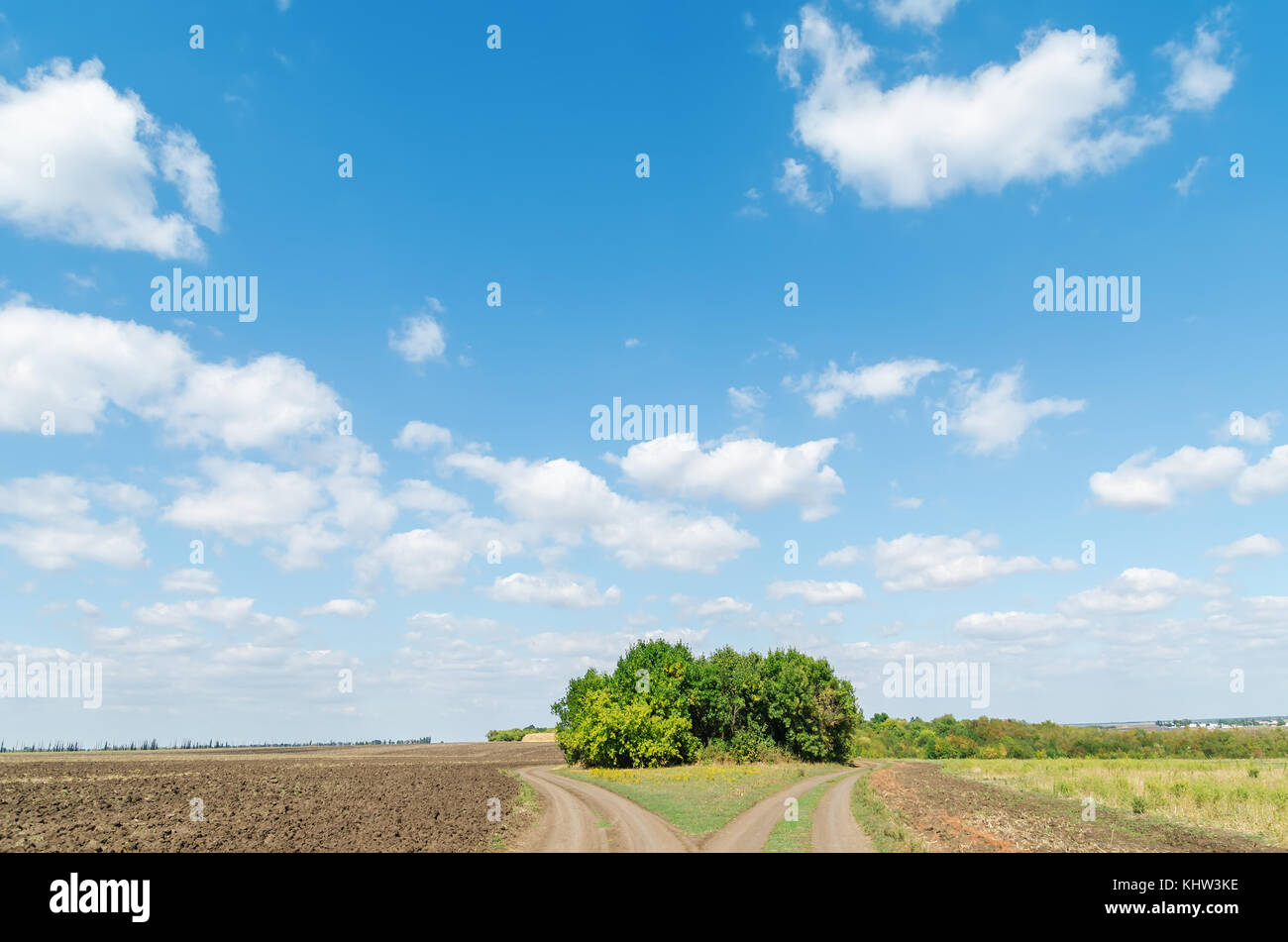 two rural roads in field and blue sky with clouds Stock Photo - Alamy