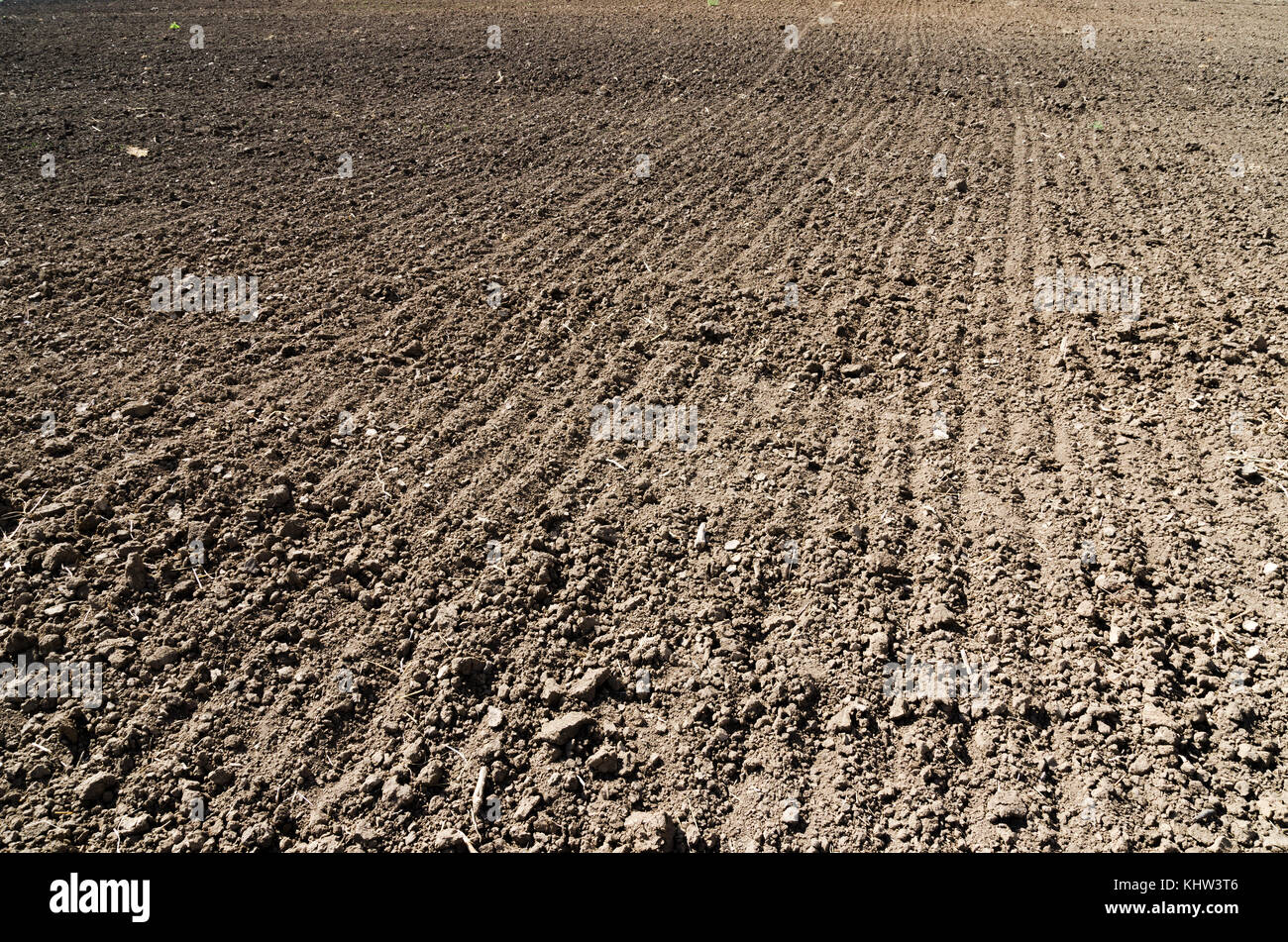 вспаханное поле 4 буквы