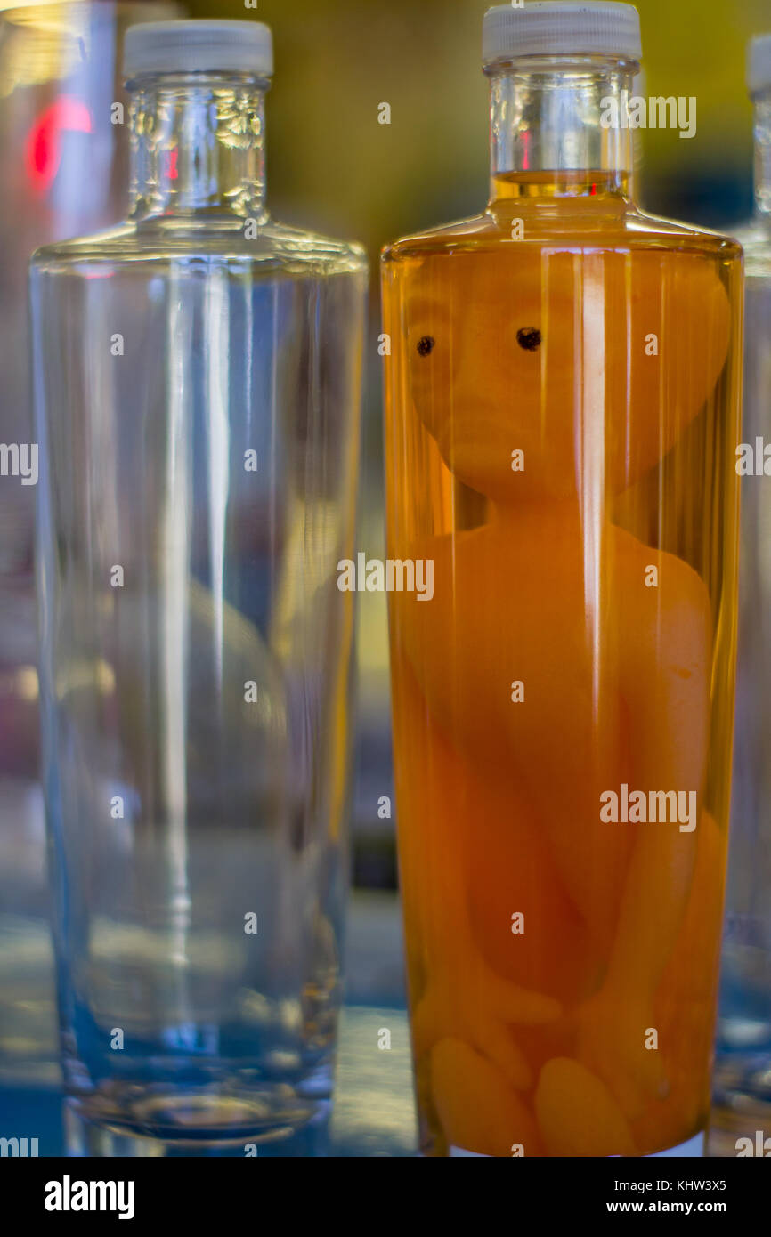alien specimen in a bottle Stock Photo Alamy