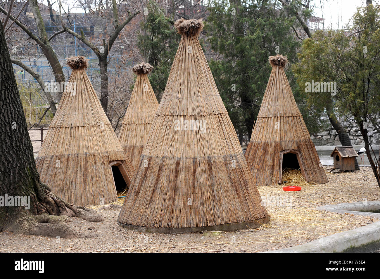 Wigwam house in the national park Stock Photo 165895580 Alamy
