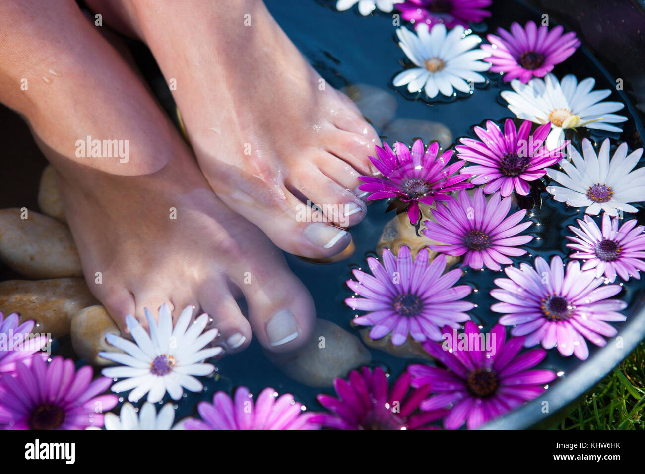 Woman's feet in foot bath, closeup, low section Stock Photo Alamy