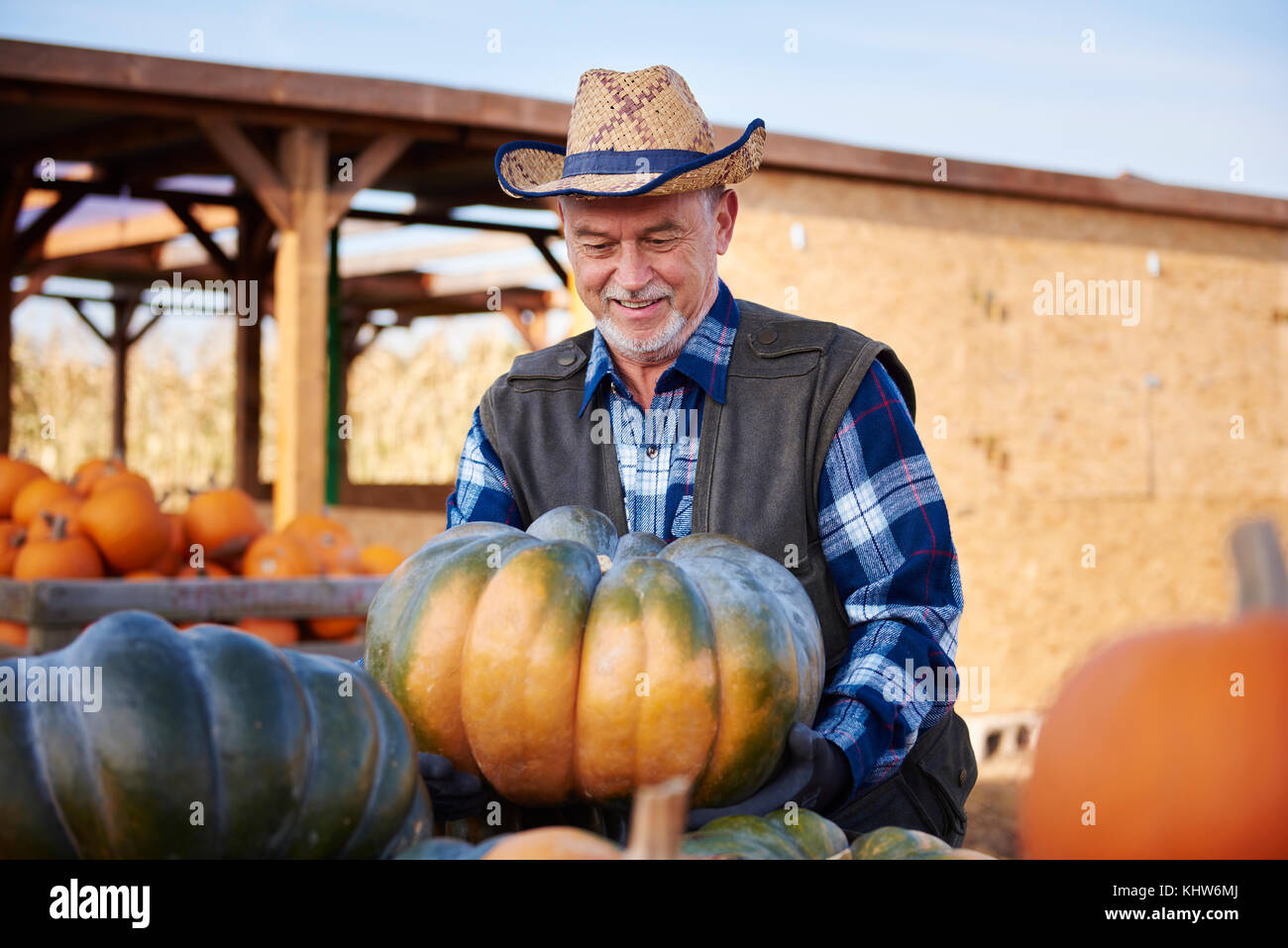 Farmer with pumpkin harvest Stock Photo Alamy
