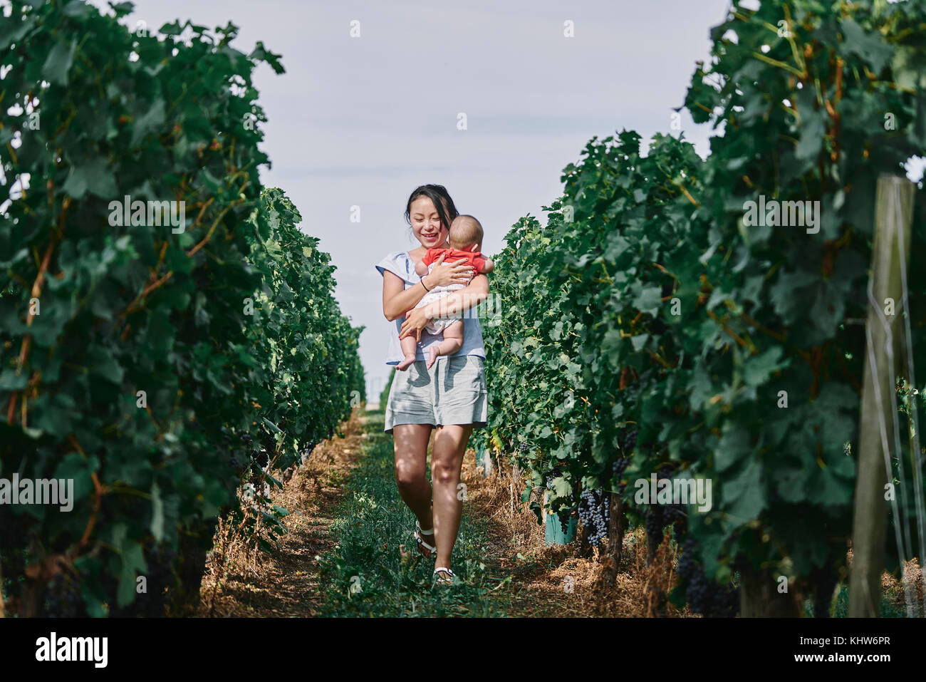 Woman carrying baby girl through vineyard, Bergerac, Aquitaine, France Stock Photo
