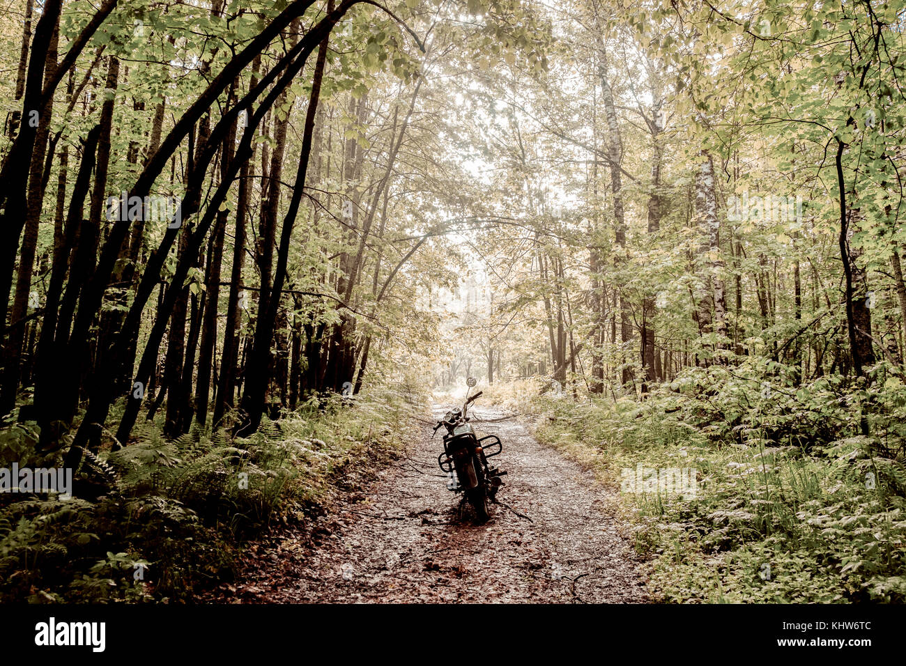 Motorbike on path through forest, Ural, Sverdlovsk, Russia Stock Photo