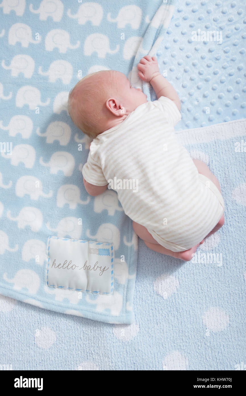 Newborn baby boy, sleeping on blankets, overhead view Stock Photo