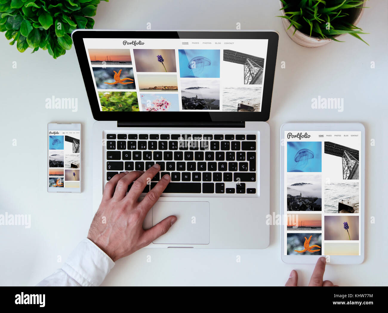 Working Portfolio and Showcase Portfolio