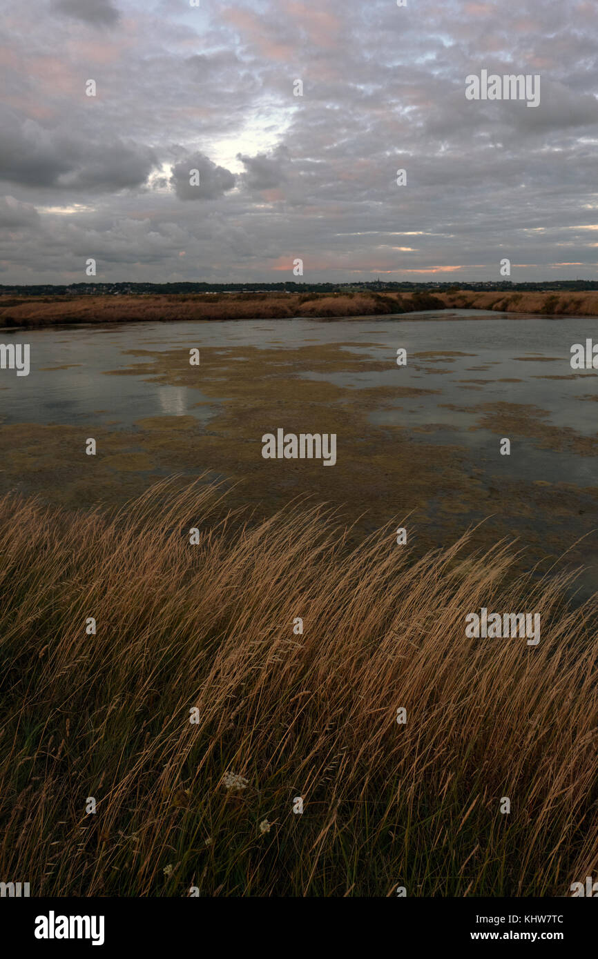 The working salt flats and marshes of Guerande near Le Croisic in the Loire - Atlantique region of Brittany France. Stock Photo