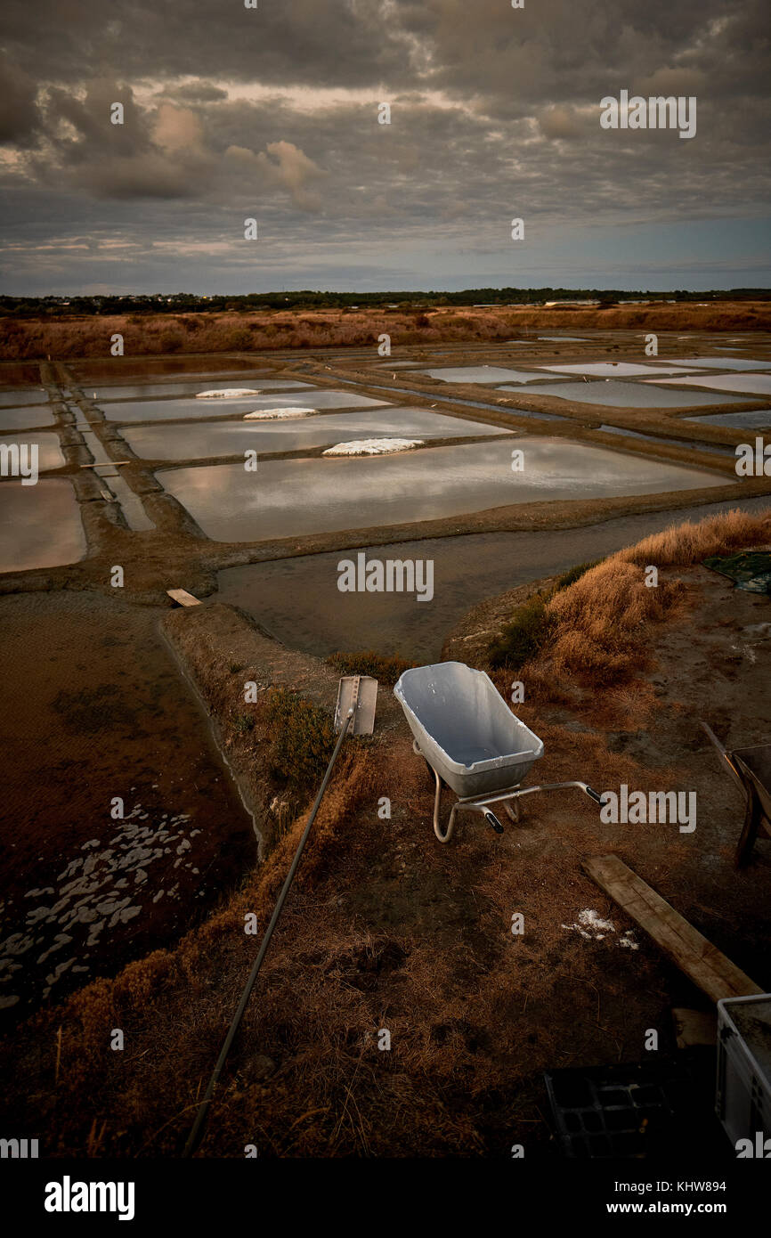 The working salt flats and marshes of Guerande near Le Croisic in the Loire - Atlantique region of Brittany France. Stock Photo